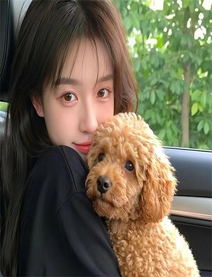 《天使先生的使命》观影全攻略：如何把握节奏的起伏变化 提升观影体验