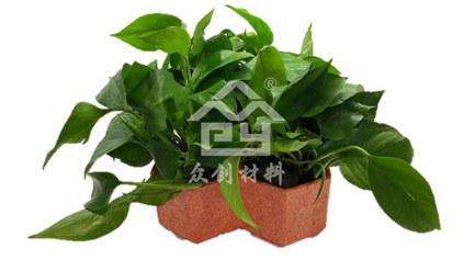 EPP花(huā)盆和園藝6
