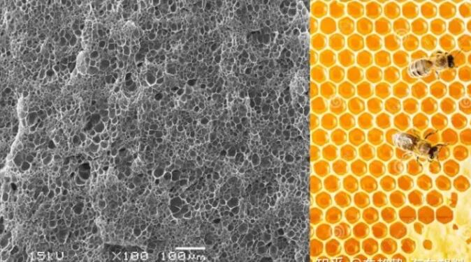 epp發(fa)泡聚丙烯(xi)的顯微結(jié)構,可以看(kan)到這是種(zhong)連續閉孔(kong)結構,類似(sì)于蜂窩 epp發(fa)泡聚丙烯(xī)的顯微結(jié)構,可以看(kàn)到這是種(zhong)連續閉孔(kong)結構,類似(si)于蜂窩